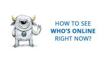 How to See Who’s Online on Your WordPress Website?