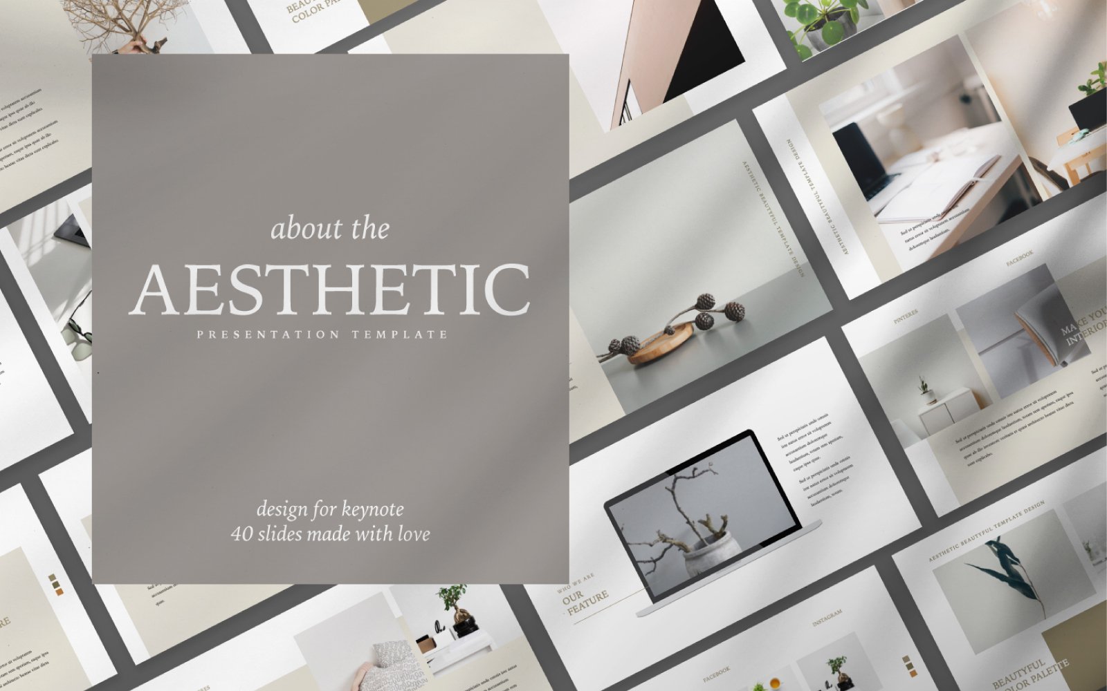 Aesthetic Presentation Google Slides 100761