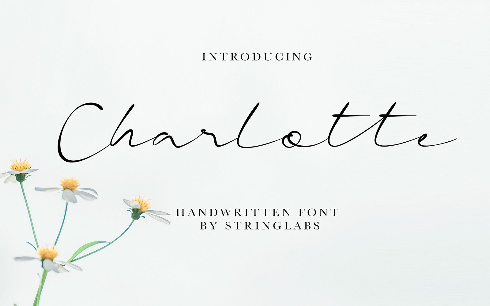 Kit Graphique #103927 Handwritten Font Divers Modles Web - Logo template Preview