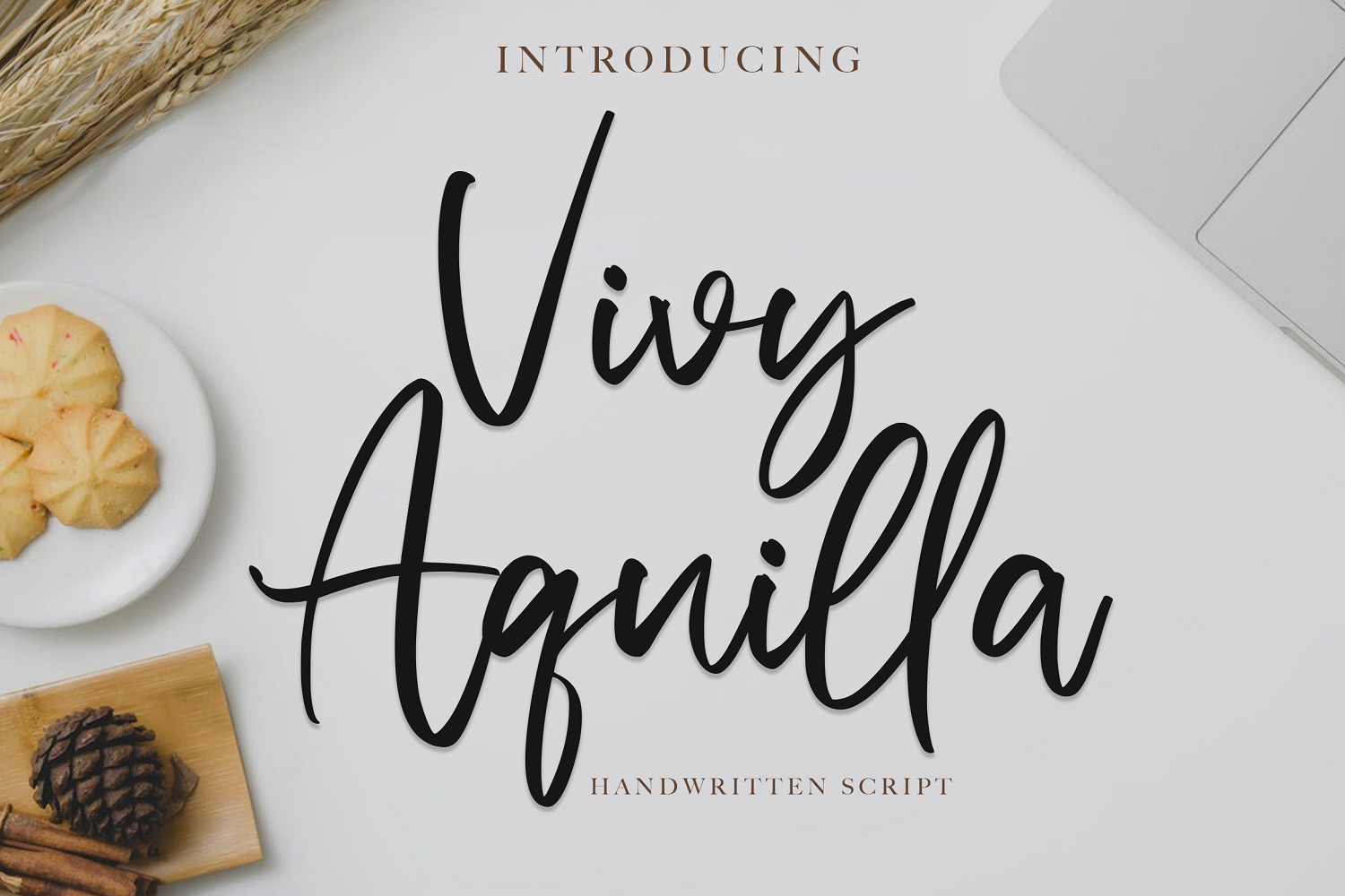 Vivy Aquilla - Handwritten Font