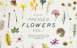 Pressed Dry Flowers & Herbs Vol.1 product mockup