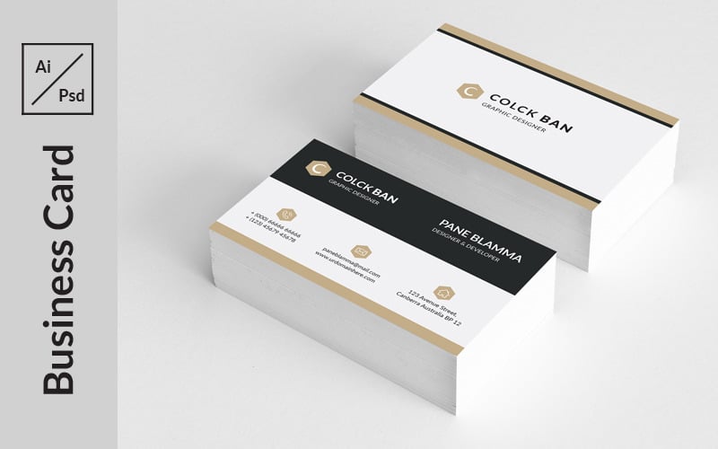 Pane Professional Business Card - Corporate Identity Template