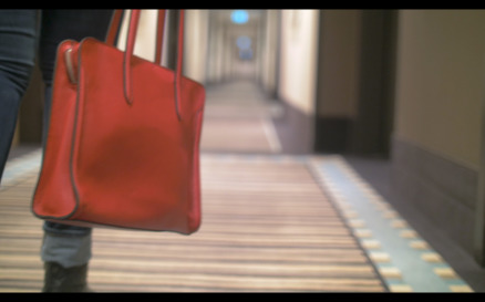 Red Bag in Female Hands - Stock Video