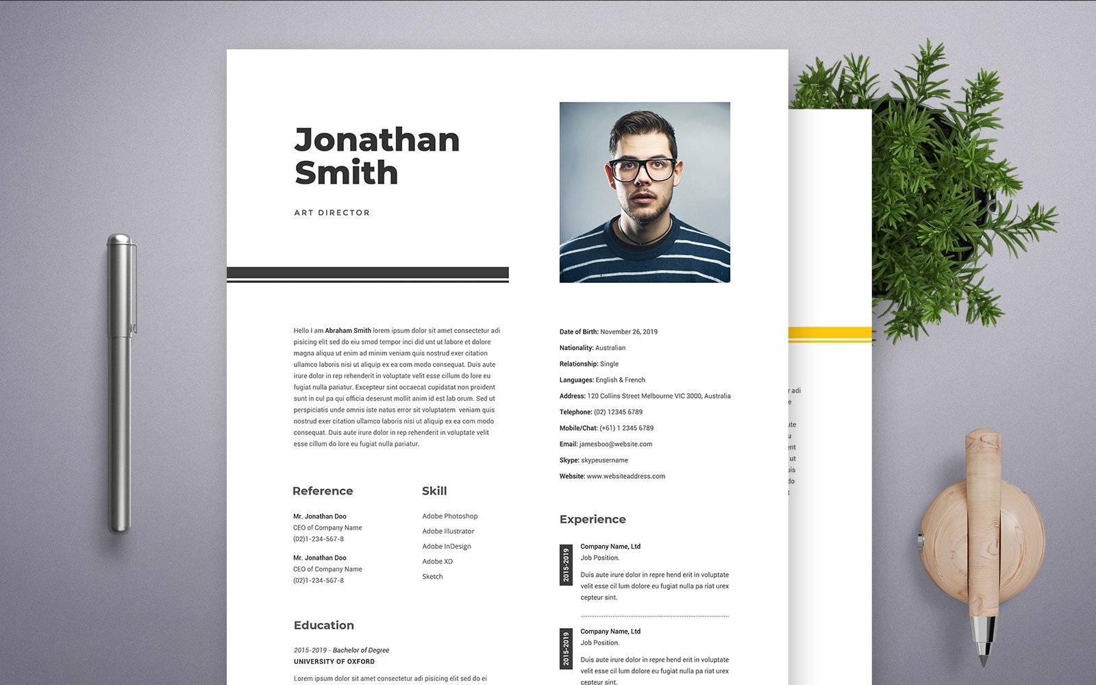 Kit Graphique #107917 Professional Resume Divers Modles Web - Logo template Preview