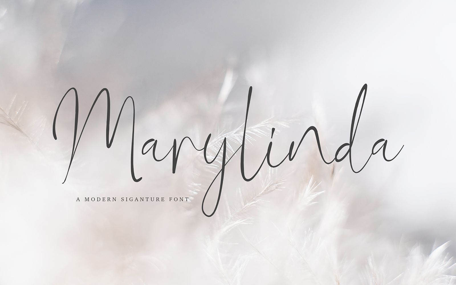 Marylinda Beauty Signature Font