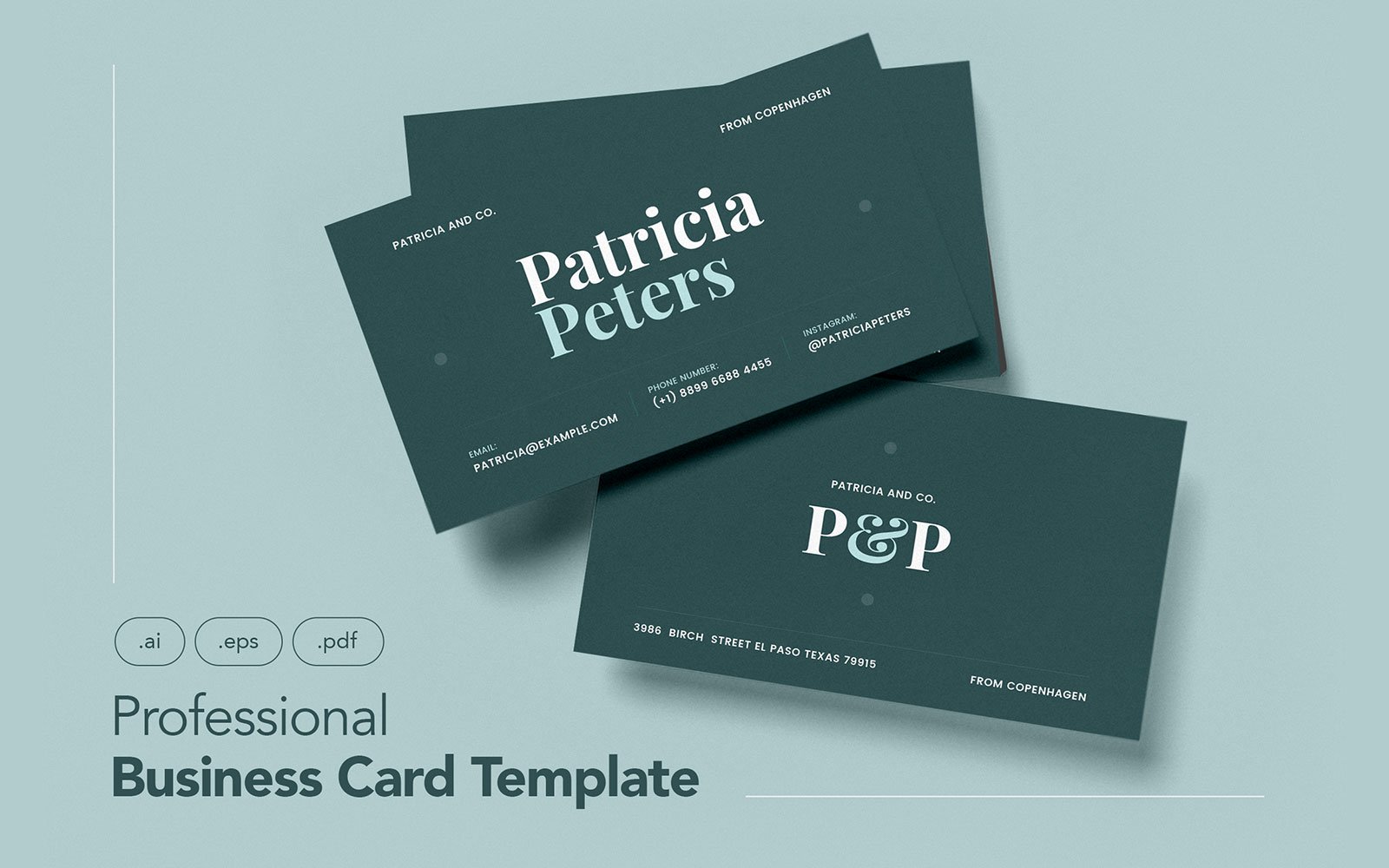 Template #109558 Business Card Webdesign Template - Logo template Preview