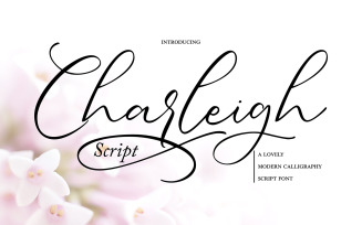 Charleigh | Modern Calligraphy Cursive Font