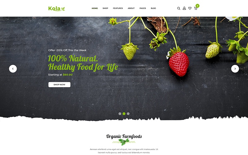 Responsywny szablon Shopify Kalo - Health & Organic #110969