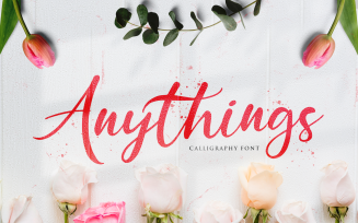 Anythings - Modern Calligraphy Font