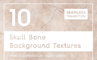 10 Skull Bone Textures Background