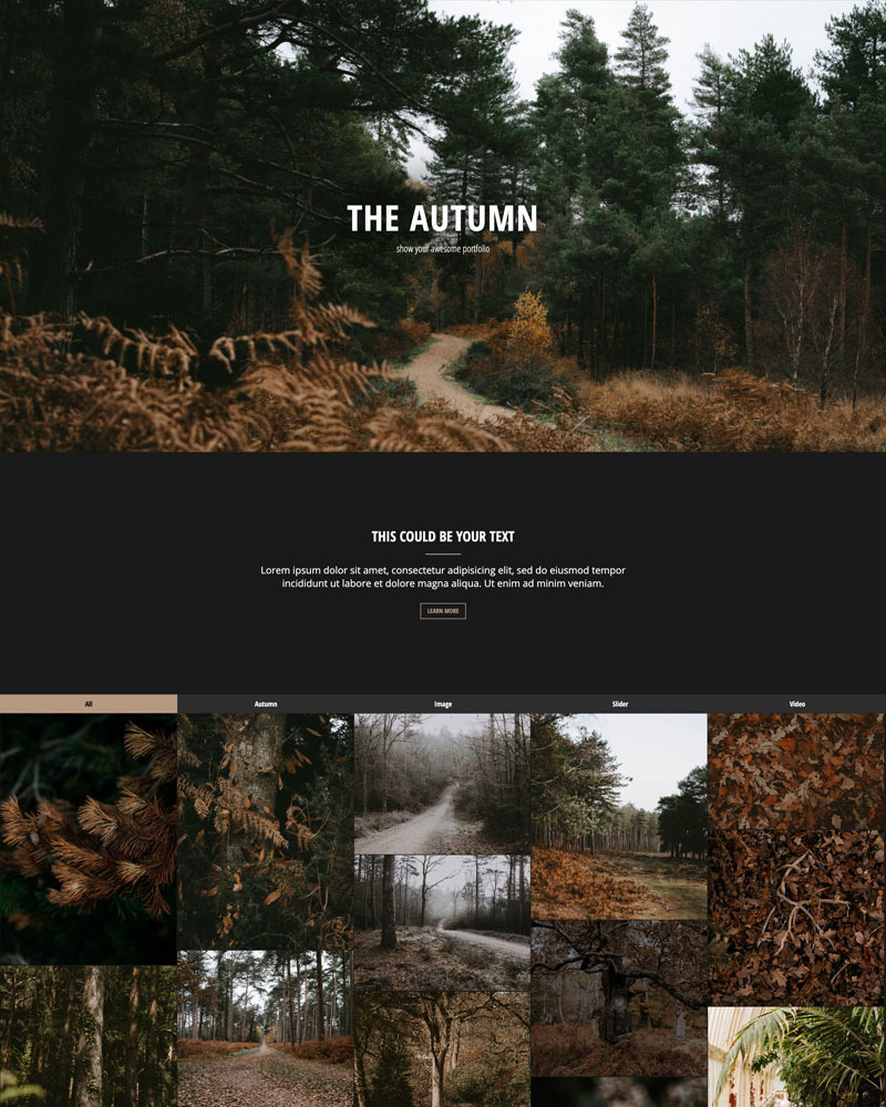 The Autumn - HTML - Portfolio | Responsive №113869