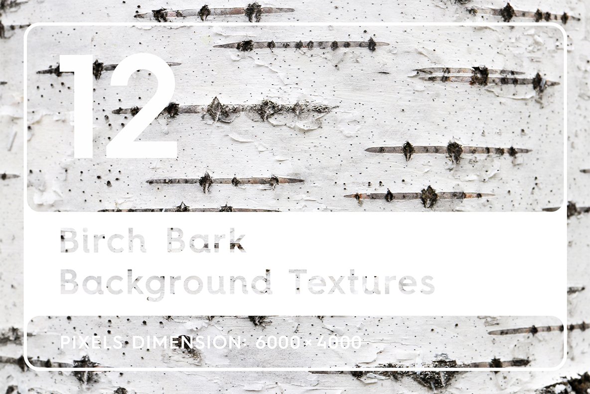 Template #113959 Bark Patternbirch Webdesign Template - Logo template Preview