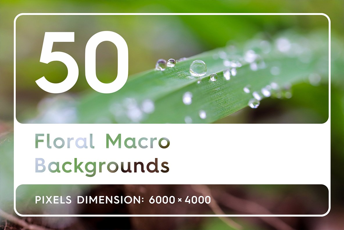 Template #113965 Macro Backgroundfloral Webdesign Template - Logo template Preview