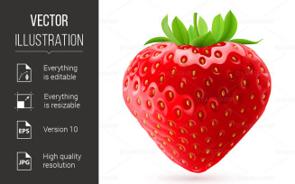 Appetizing strawberry - Vector Image