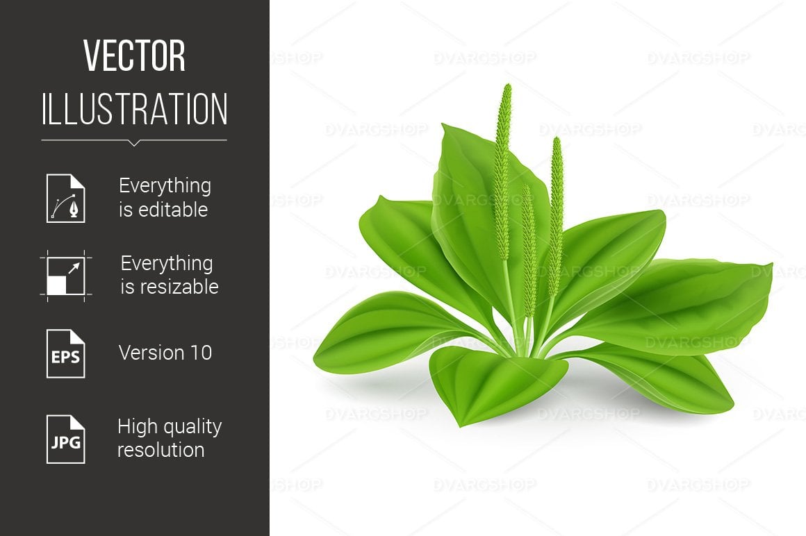 Template #115902 Plantain White Webdesign Template - Logo template Preview