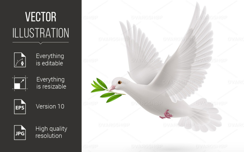 Fly dove - Vector Image Vector Graphic