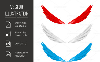 Abstract Colorful Wings - Vector Image