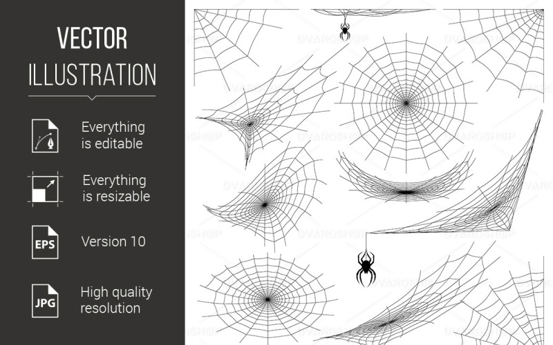 Spider Web - Vector Image Vector Graphic