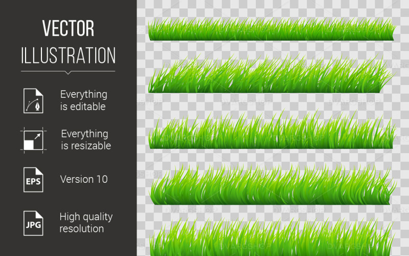 Grass Borders - Vector Image Vector Graphic