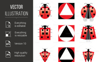 Conceptual Evolution of Ladybug - Vector Image