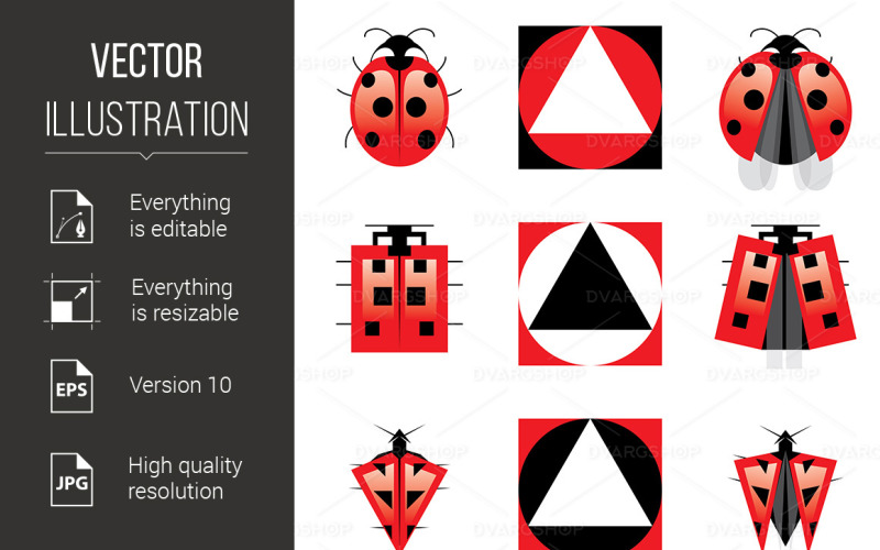 Conceptual Evolution of Ladybug - Vector Image Vector Graphic