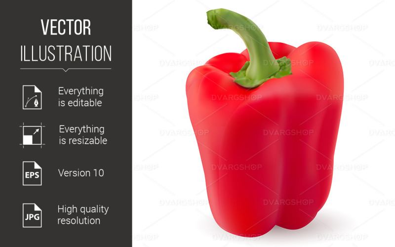 One Red Pepper - Vector Image Vector Graphic