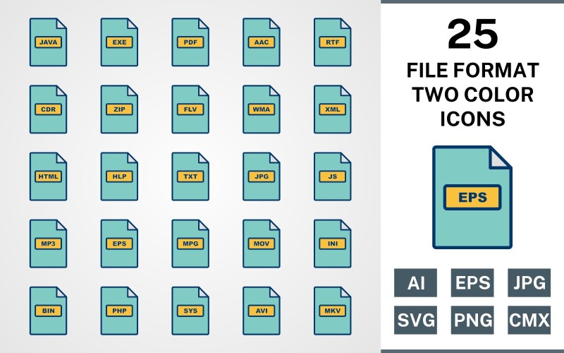 25 FILE FORMAT FILLED TWO COLORS PACK Icon Set
