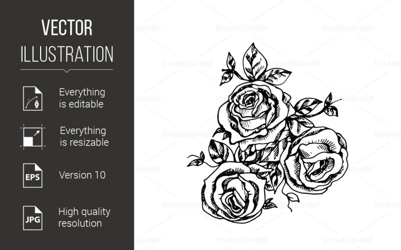 Garden Roses - Vector Image Vector Graphic