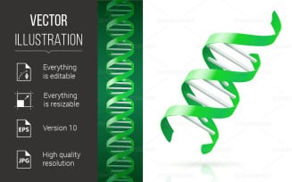 Green DNA Background - Vector Image