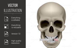 Realistic Skull with a Cigarette - Vector Image