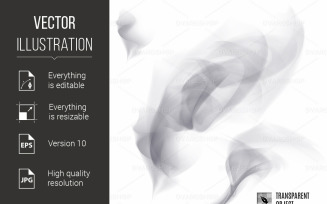 Smoke Transparent Texture on White - Vector Image