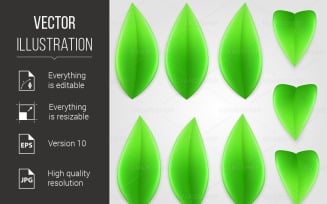 Set of Green Leaves - Vector Image