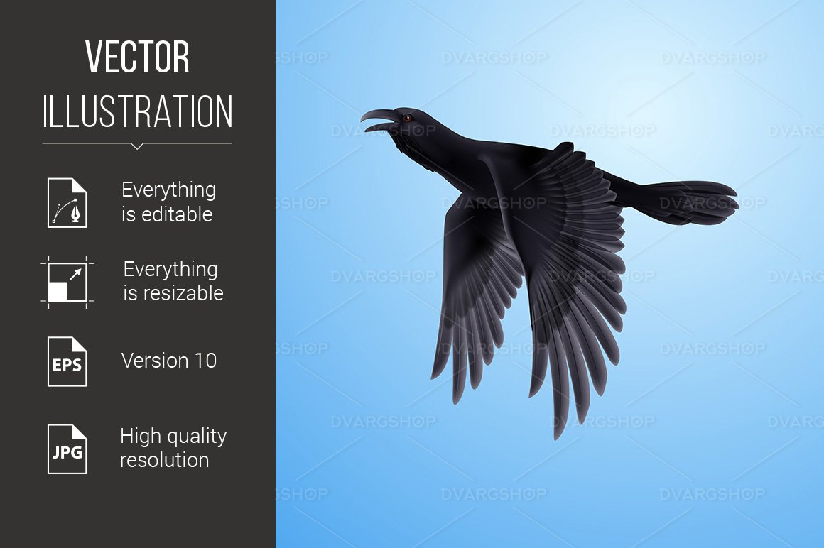 Kit Graphique #117533 Raven Bleu Divers Modles Web - Logo template Preview