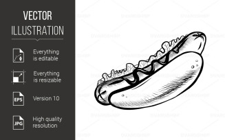 Hot Dog - Vector Image