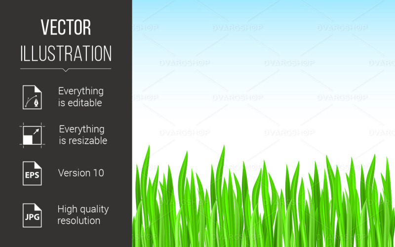 Illustration of green grass - Vector Image Vector Graphic