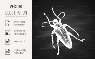 Longhorn Beetle Icon - Vector Image
