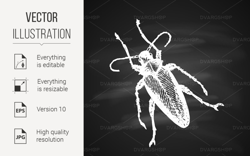 Longhorn Beetle Icon - Vector Image Vector Graphic