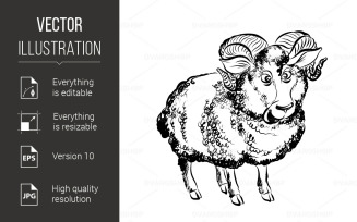 Funny Lamb - Vector Image