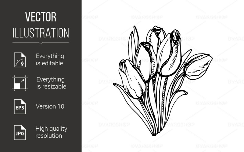 Tulip - Vector Image Vector Graphic