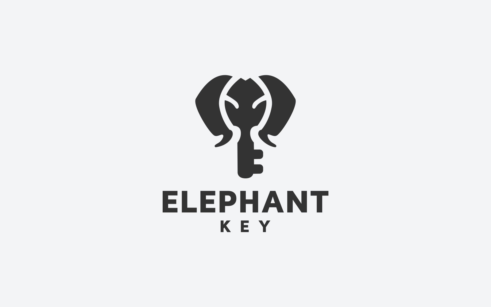 Template #118751 Key Elephant Webdesign Template - Logo template Preview