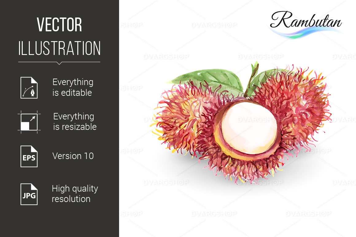Kit Graphique #118798 Fruit Rambutan Divers Modles Web - Logo template Preview