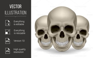 Three Skulls - Vector Image