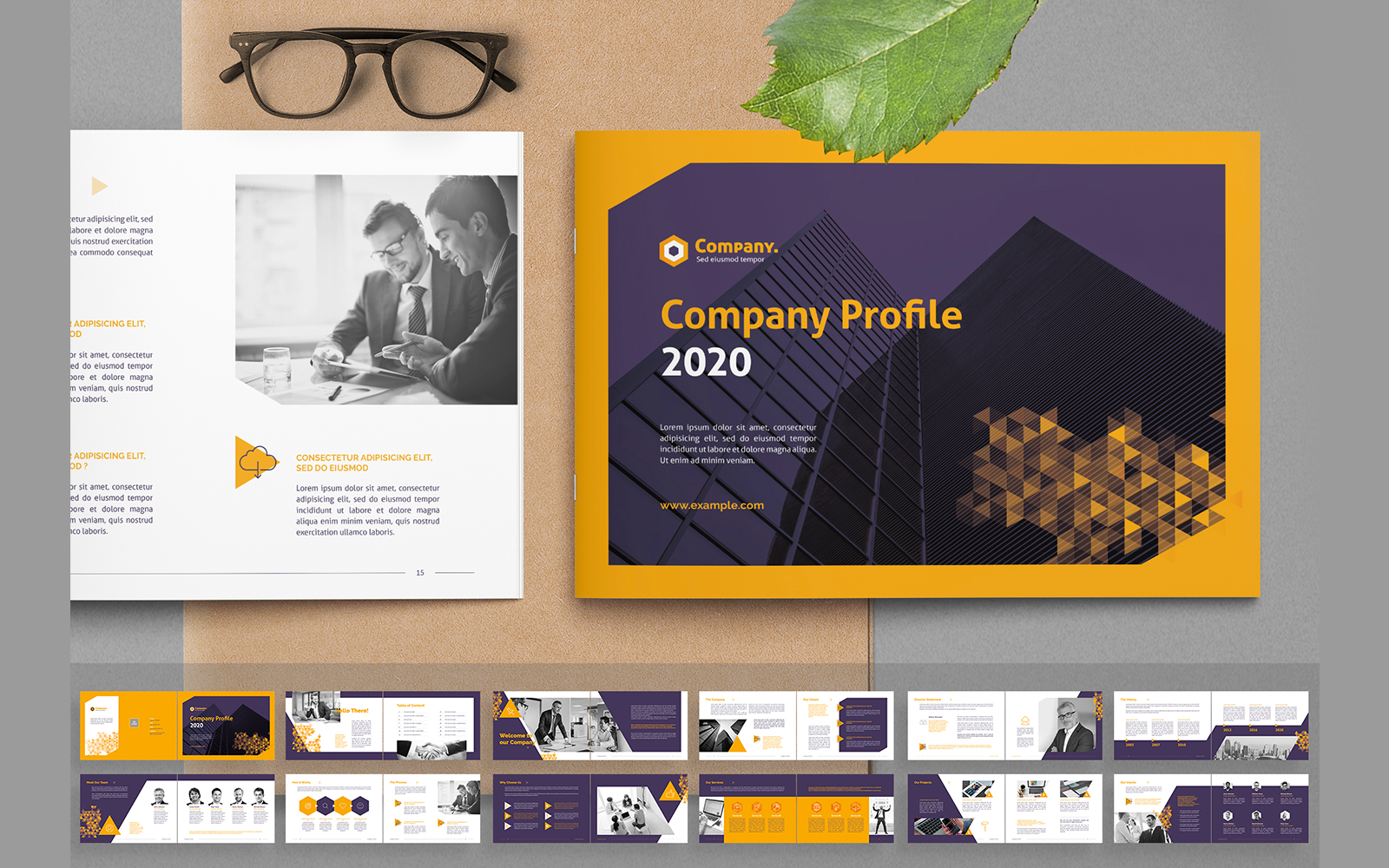 Kit Graphique #119065 Company Profile Divers Modles Web - Logo template Preview