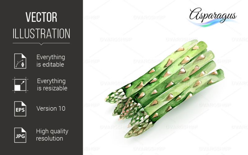 Asparagus - Vector Image Vector Graphic