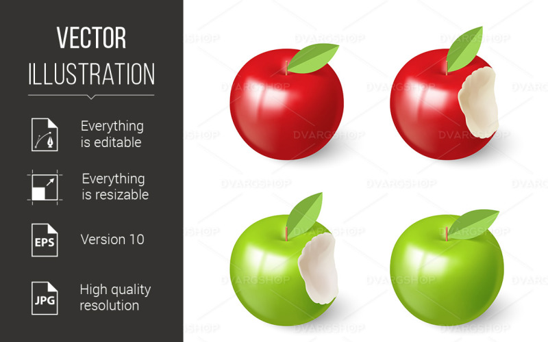 Apples - Vector Image Vector Graphic