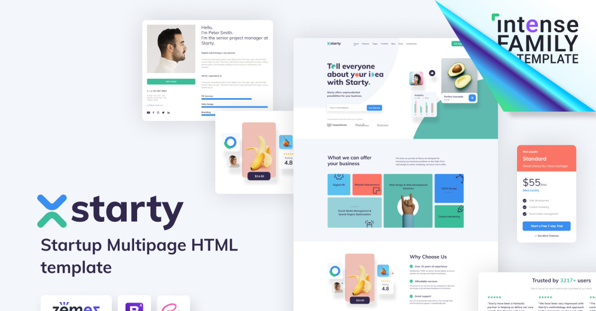 Starty IT Startup Company Website Template