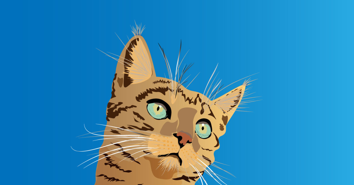retrato de cara de gatinho, cara de gato de tintas multicoloridas. respingo  de aquarela, desenho colorido, realista. ilustração vetorial de tintas  3621185 Vetor no Vecteezy