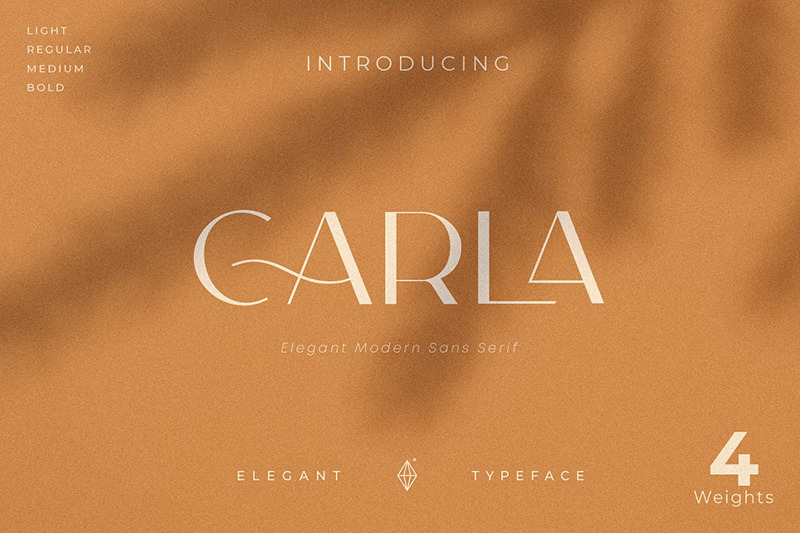 Carla Sans - Elegant Typeface Font #149705 - TemplateMonster