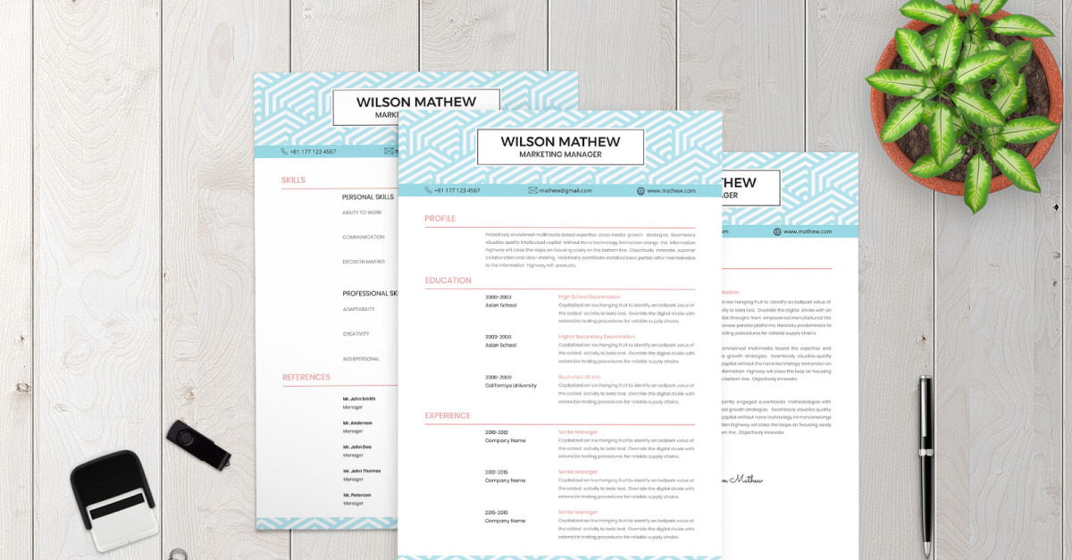 Creative CV Resume Template #154035 - TemplateMonster
