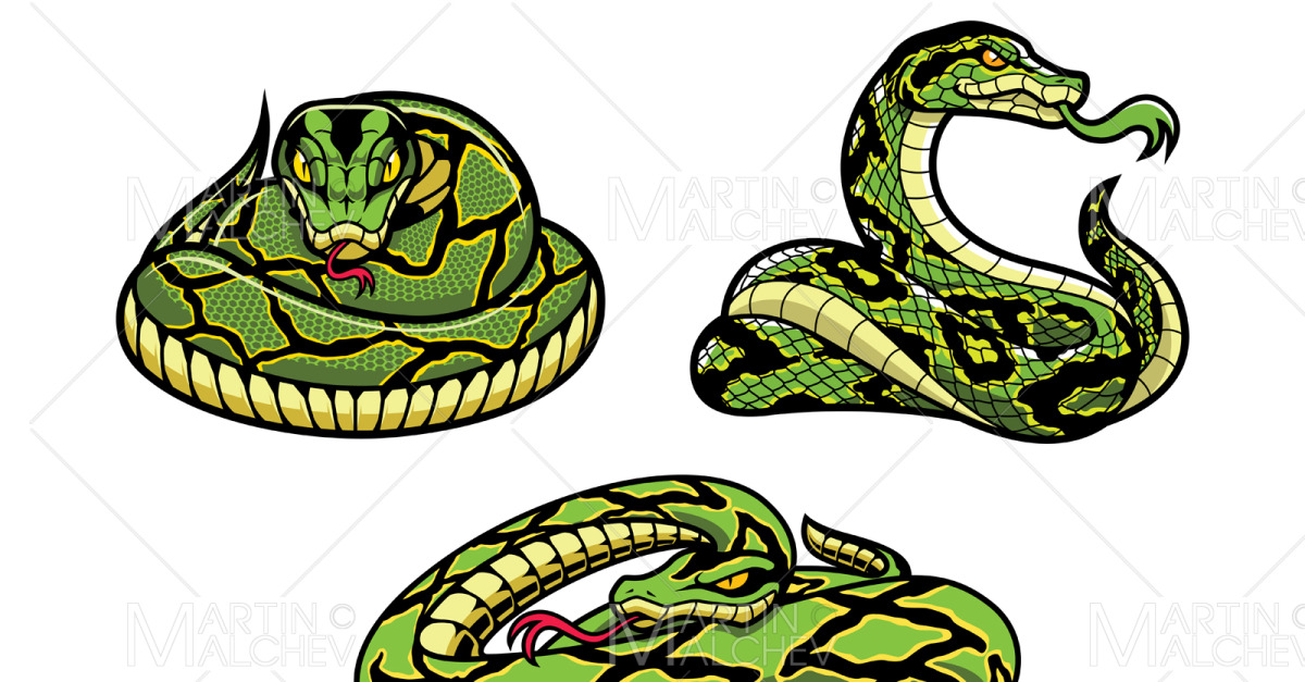 Snakes On White #165733 - TemplateMonster